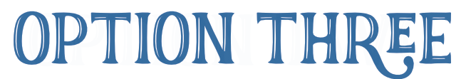 option3-title