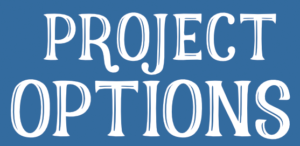 project-options-title