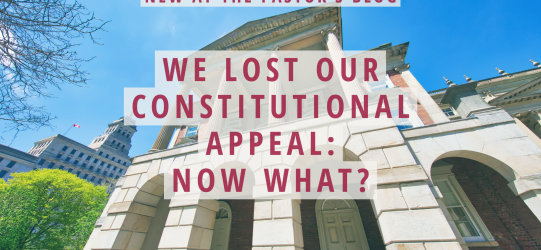 We Lost our Constitutional Appeal: Now What?