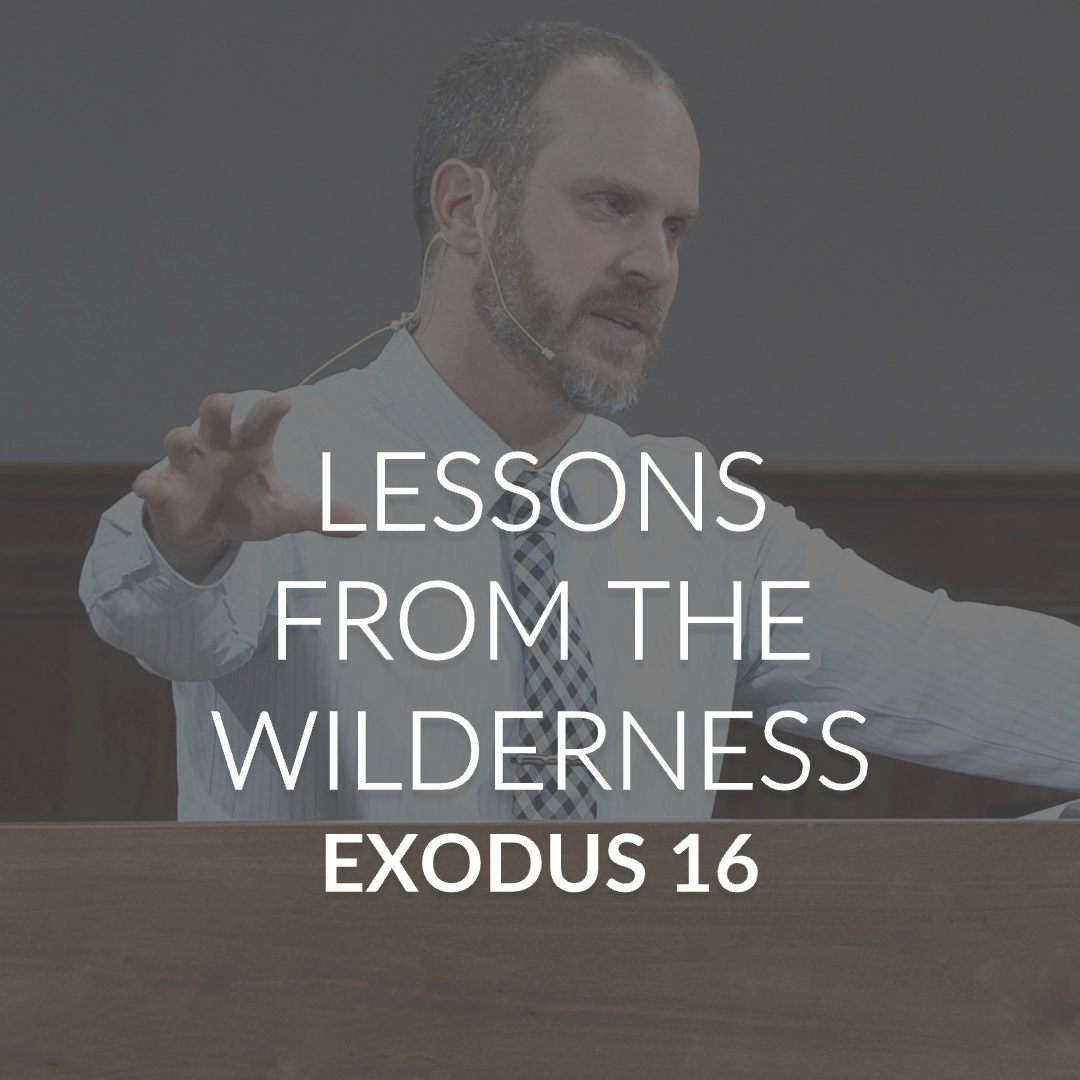 Lessons from the Wilderness