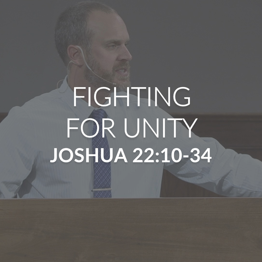 Fighting for Unity